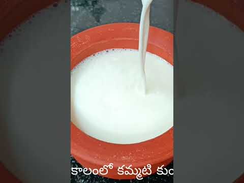 #viralvideo #food #curdrecipe #curd #curd#foodie