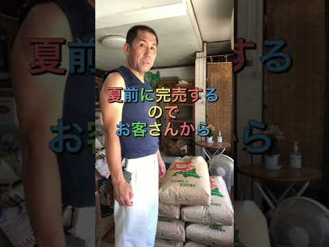 【岐阜市の美味しいお米】岐阜市の美味しいお米屋　当店で一番人気のお米　北海道新すながわゆめぴりか　#shorts