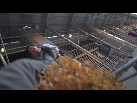 Fall While Filming Google's Jack Chen