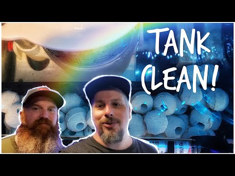 Reef Maintenance Vlog 2 - Red Sea Predator & 180 gallon Custom Mixed Reef #StayHome & Reef #WithMe