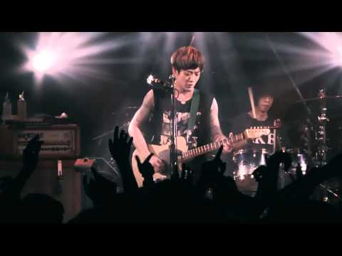 Nothing's Carved In Stone「Brotherhood」(Live from Monthly Live at QUATTRO Vol.3 "構築")