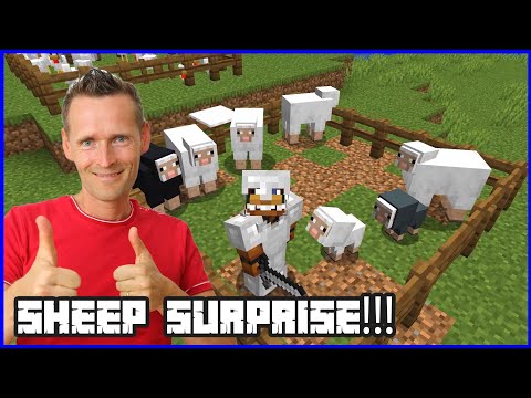 Surprising Karina with a Sheep Farm!