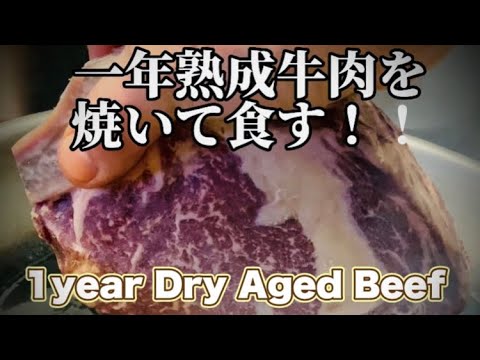 【超絶熟成肉】一年間熟成の牛肉を焼いて食べてみたら、、、#衝撃体験　[1 year dry aged beef ]🥩!! #熟成肉 #dryagedbeef #chefvlog