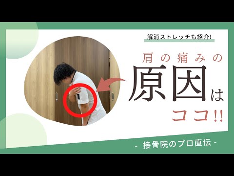 【肩の外側の痛みシビレ〜腋窩神経障害〜】物を持とうとしたとき肩の外側に痛みが走る、手を突いたときに肩の外側から肘に痛みが走るときのストレッチ！｜接骨院のプロが教えるお家セルフケア｜テラピスト接骨院