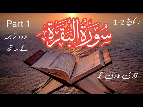 Surah Al Baqrah [ Part 1 ](Ayaat  1-20 )سورہ البقرہ Qari Tareq Muhammad