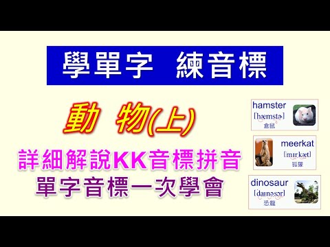 KK音標拼音詳細教學，用生活中常見的多音節單字，一步一步扎實學好KK音標也學會單字。動物英文單字-上。