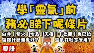 Ep362.學習Reiki靈氣療法之前一定要睇呢條片丨臼井靈氣丨紫火靈氣丨埃及靈氣丨天使靈氣丨藥師佛靈氣丨高田哈瓦優丨林忠次郎丨臼井甕男丨靈氣符號丨佛教及神道教丨Hayashi Chujiro