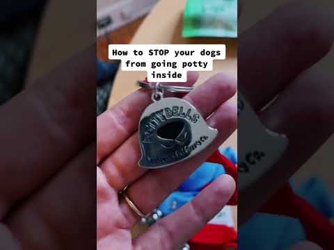 Dog Training - Potty Bells Dog Trick #shorts #dogshorts #dogtraining