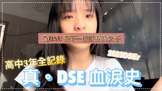 [真。DSE血淚史] 2023 DSE 🎐 | 高中三年全紀錄 你並不孤單 | ft. SUNGBOON EDITOR