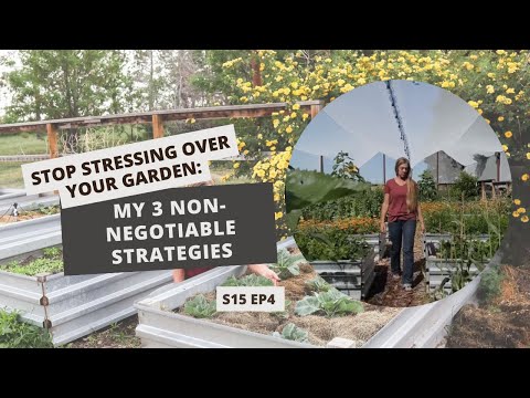 S15: E4: STOP Stressing Over Your Garden: My 3 Non-Negotiable Strategies