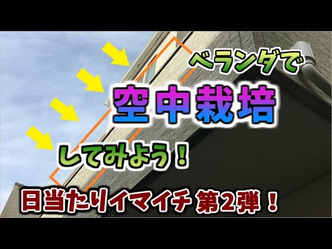 庭が日当たりイマイチでも、ベランダ外壁には日が当たっていた！プロジェクトの第2弾は空中栽培！