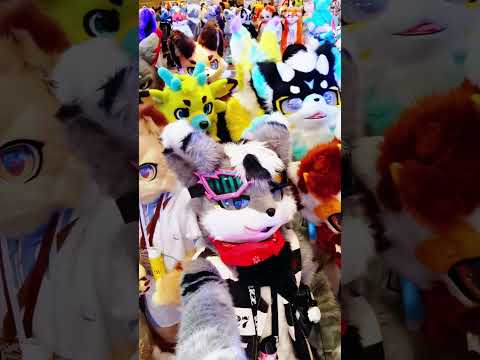 Just passing by #furry furryfucon #furrycon #foryoupage #fypシ゚viral #fursuit #furryfandom