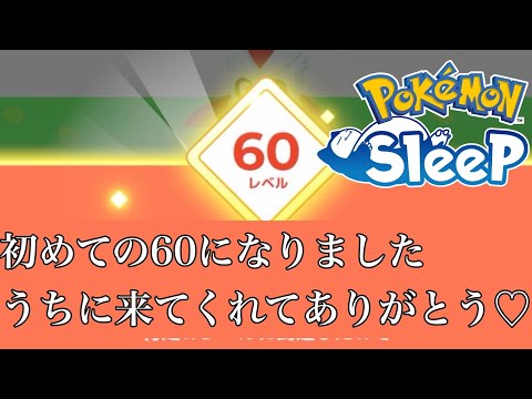 60レベルに到達！クリスマスプレゼントや！[ #ポケモンスリープ ]