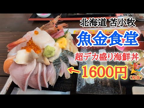 【苫小牧】『魚金食堂』の海鮮が衝撃的すぎた🤩鮮度・コスパ抜群❗️ネタがヤバイ😳