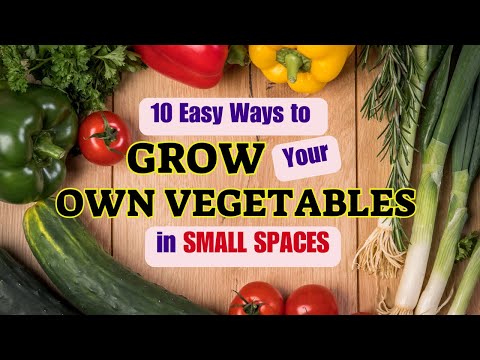 10 Easy Ways to Grow Your Own Vegetables in Small Spaces_Self-Sufficiency & Homesteading LifeTIPS#3