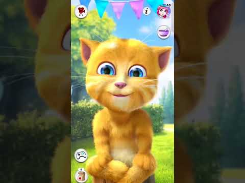 Talking Tom Ginger 2 cat funny 🤣😂 😺🐈😺😺#talkingtom #funny #shortvideo #cat #talkingtomvideos