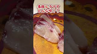 ヒラマサ食べたことありますか⁉️#旬 #魚 #魚釣り #魚好きと繋がりたい #釣り #料理動画 #ヒラマサ