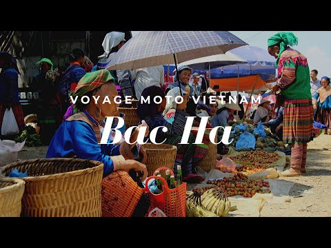 Voyage Moto Vietnam | Les rouleurs des rizières | Épisode 9