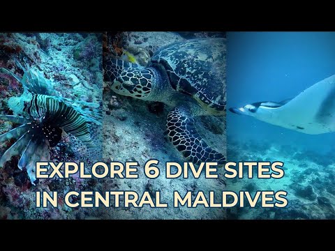 Explore 6 Dive Sites in Central Maldives [4K HDR]