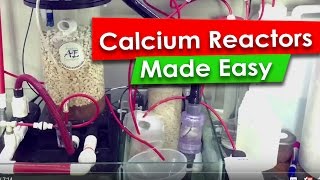 How Calcium Reactor Works