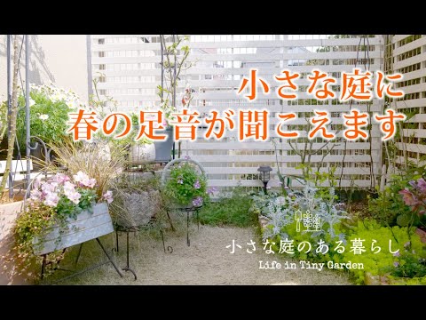 ガーデニング Vlog｜小さな庭に春の足音が聞こえます｜ 〜小さな庭のある暮らし 158〜Gardening ｜ Life in a tiny garden