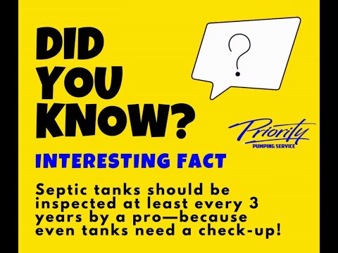 (Bulk 4) Yellow Did You Know Interesting Fact Facebook Post mp4