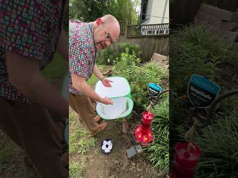 First Monarch Butterfly Release of 2023: Five Girls & Two Boys on Their Way to Mexico!