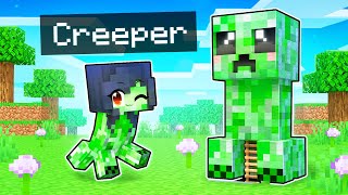 My SUPER SECRET Creeper Base In Minecraft!