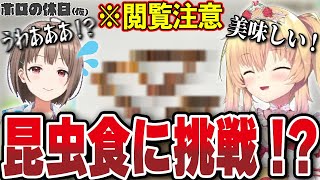 【閲覧注意】はあと＆のどかが鍋と虫をモグモグ！？【#ホロの休日_仮】