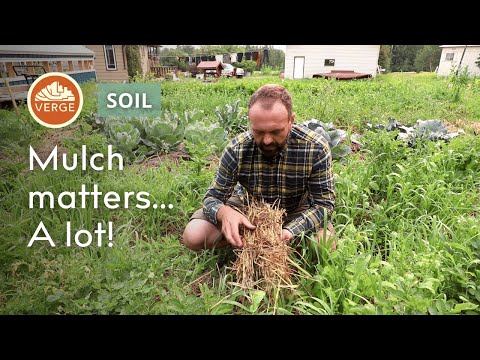 Mulch Matters and Here's Why | Permaculture for Healthy Soil and Growing Food