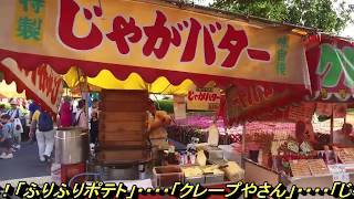 【三社祭】tokyo/浅草/祭り屋台・花月堂/東京グルメ・出店を見て回る動画・東京美食・東京假期・夜市・asakusa/Tokyo sightseeing・東京假期