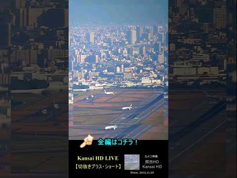 午後の出発ラッシュシーン｜2024.11.13 #元祖大阪空港ライブカメラ 【切抜きプラス・ショート】