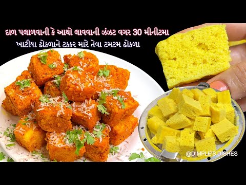 ખમણ ઢોકળા જેવા જાળીદાર ખાટા કે ટમ ટમ ખમણ-khaman-Instant tam tam khaman-Live dhokla-khatiya dhokla |