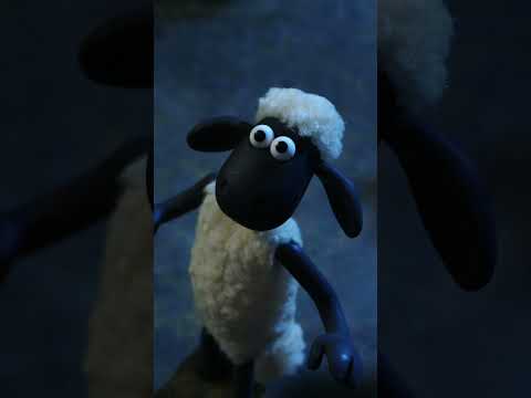 la araña🐑🐑🐑 #shorts #la-oveja-shaun #cartoonforkids #animals #shaunthesheep