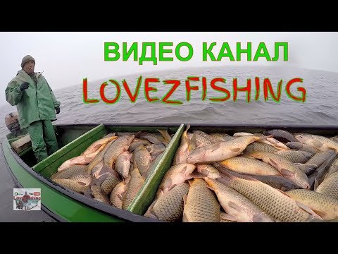 Привью lovezfishing