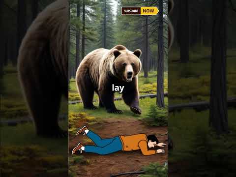 The Bear and the Two Friends | Learn English Through Stories #story #english #shorts #learning