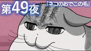 アニメ『夜は猫といっしょ』第49夜「ネコのおでこの毛」