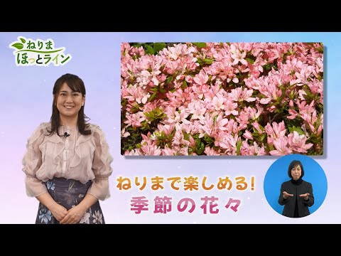 ねりまほっとライン（ねりまで楽しめる！季節の花々）令和４年３月前半号