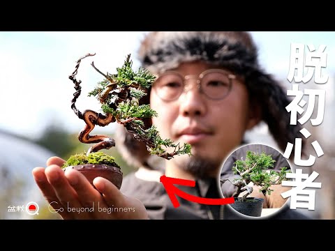 [Juniper] Beyond beginners! Let's turn a peculiar tree into a bonsai [Bonsai Q]