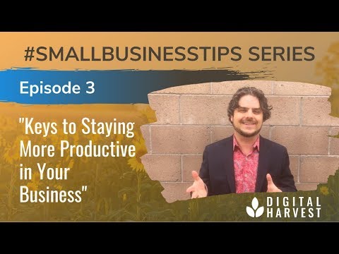 Keys to Staying Productive in Business | Episode 3 #SmallBusinessTips Series