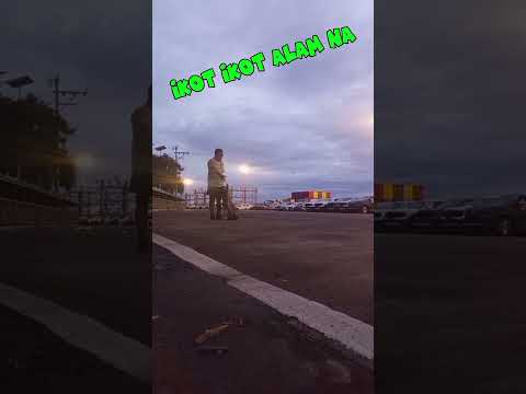 PORT OF DAVAO, 26 DECEMBER 2024❤️ DOG WALKED ❤️🇵🇭 #viralvideo #safetyalways🙏❤️🇵🇭#beautifullcity