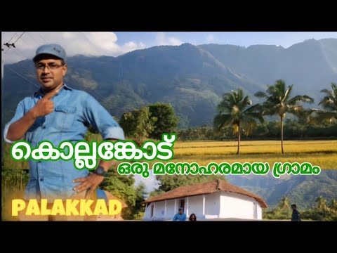 പാലക്കാടിലെ മനോഹരമായ ഗ്രാമം|palakkad|beautiful village in kerala #kerala for you