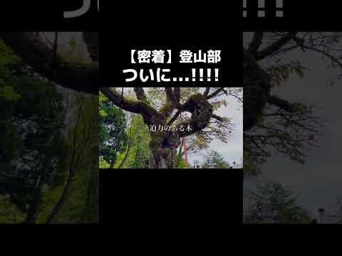 【密着】ついに山頂！眺めはどんな感じ？#shorts