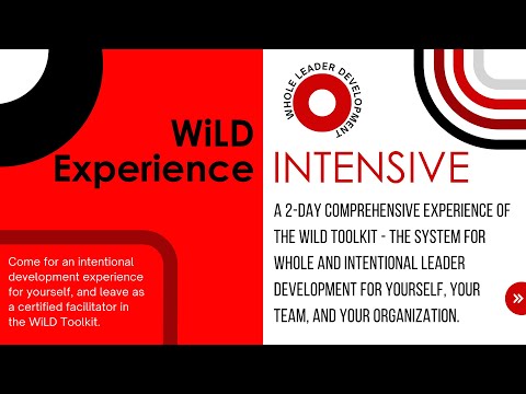 WiLD Experience Intensive Reflections