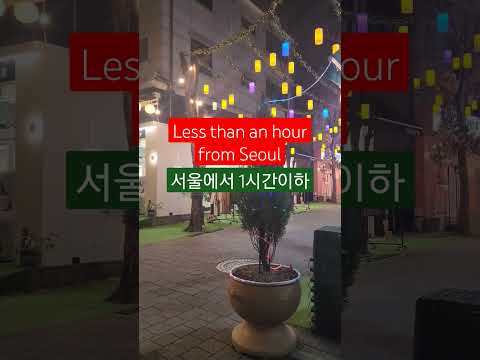 보정동 카페거리에 크리스마스가 왔어요! Christmas hidden gem outside of Seoul! 🎄