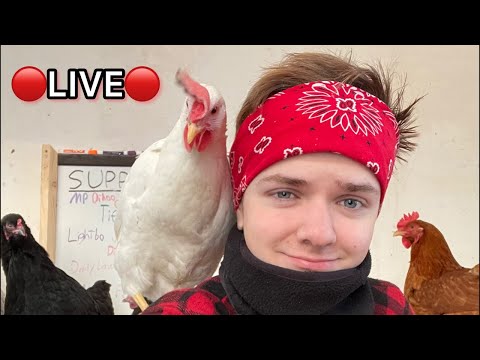 🔴🤠Joseph is live! Subscribers only chat enabled🐔🔴