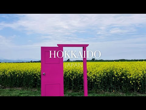 【北海道・滝川】初夏オススメ菜の花・SHIROバスツアー巡り/Hokkaido day tour from sapporo