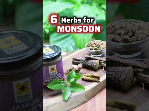 6 herbs for the Monsoon Season according to Ayurveda #shorts #ayurvedictips