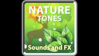 Nature Tones Sounds and FX - App Promo