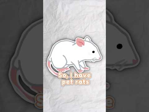 Ever thought of getting pet rats? 👀 #shorts #vtuber #rats